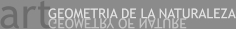 art GEOMETRY OF NATURE GEOMETRIA DE LA NATURALEZA GEOMETRY OF NATURE GEOMETRIA DE LA NATURALEZA